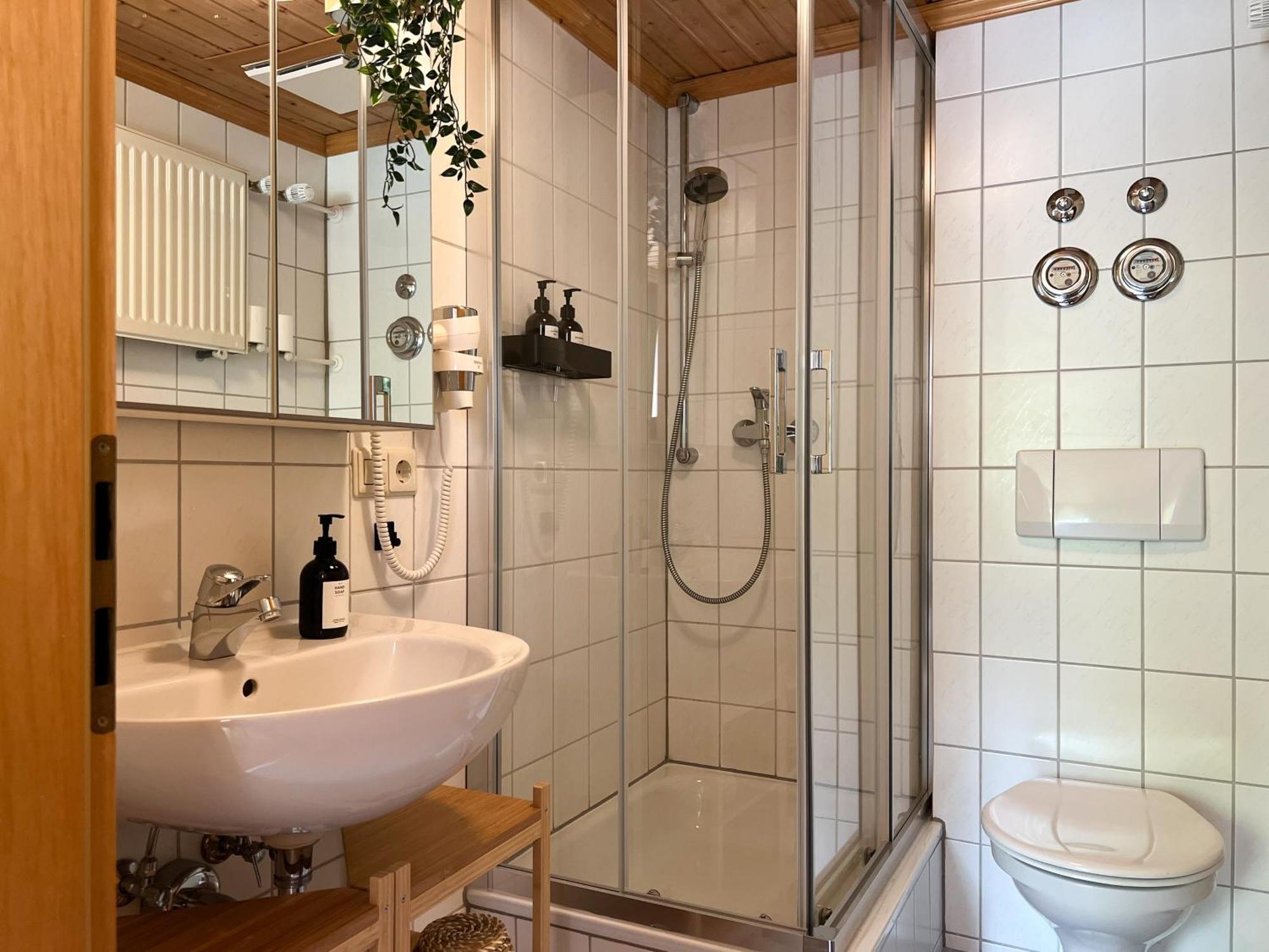 Schwarzwald Apartments Im Haus Tanneck - Feldberg - Titisee Kültér fotó